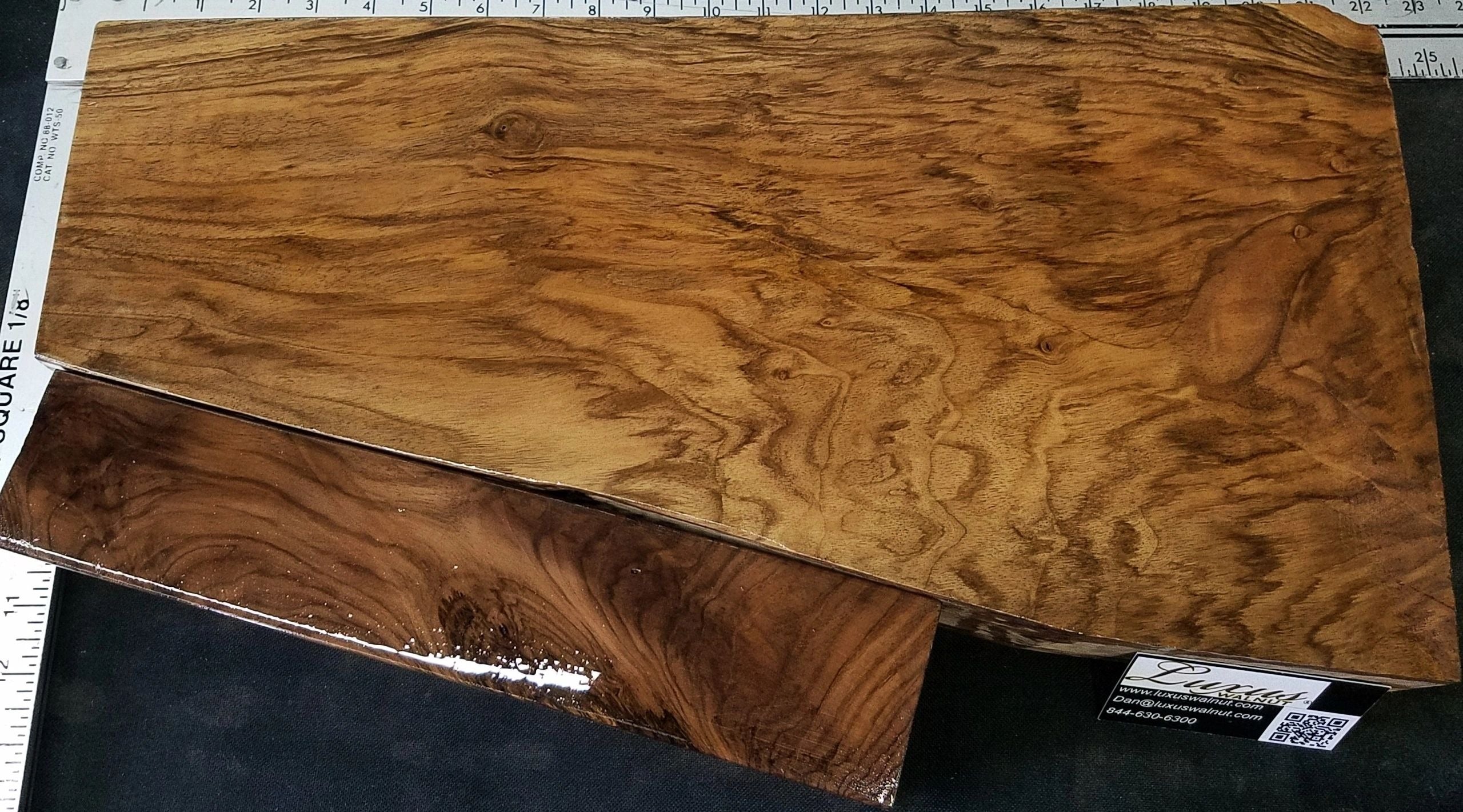 2-Piece Shotgun / Double Rifle Blank S-295