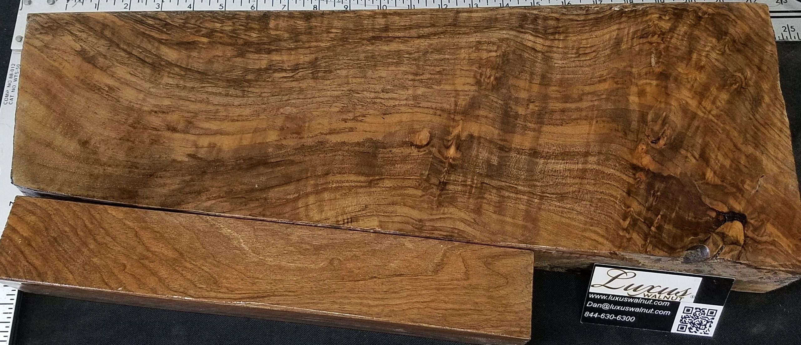 2-Piece Shotgun / Double Rifle Blank S-301